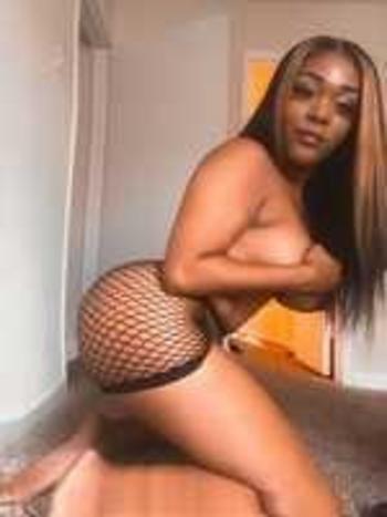8329378466, female escort, Houston