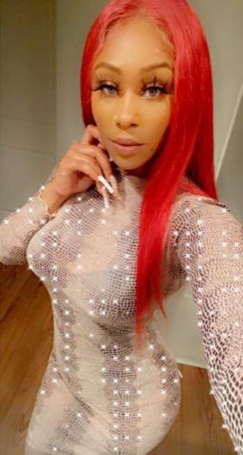 3233661352, female escort, Houston