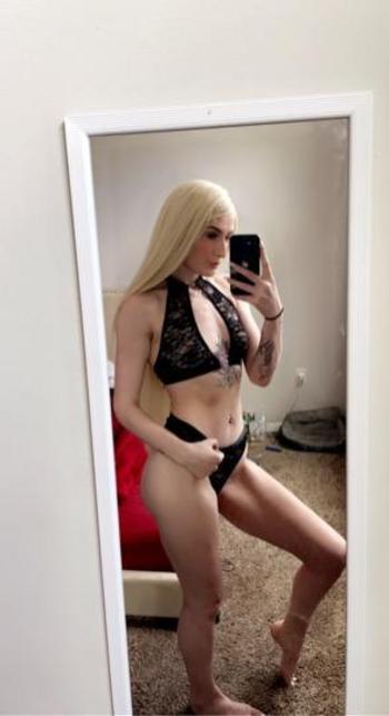 3465033457, female escort, Houston