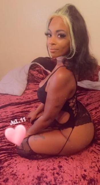 3012352396, female escort, Houston